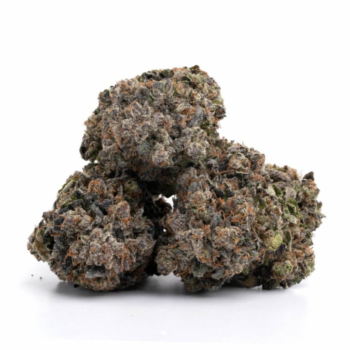Animal Cookies - Image 2