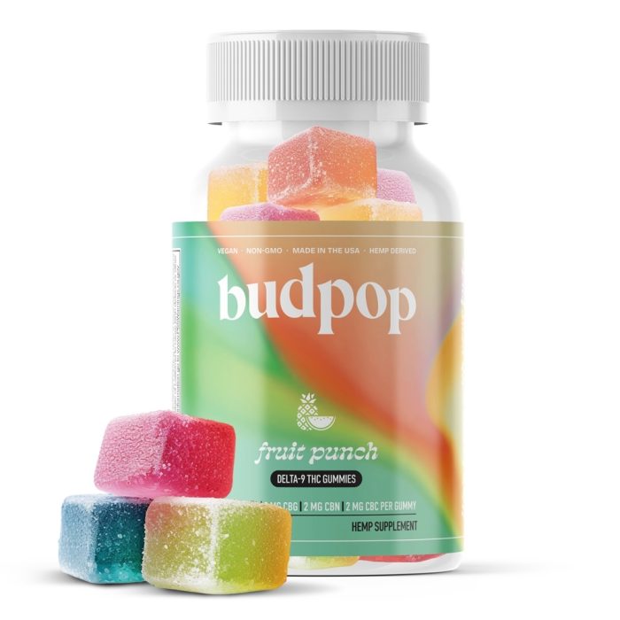 Fruit Punch Delta 9 THC Gummies - Image 1