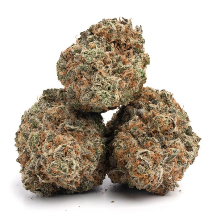 Blueberry - Image 2