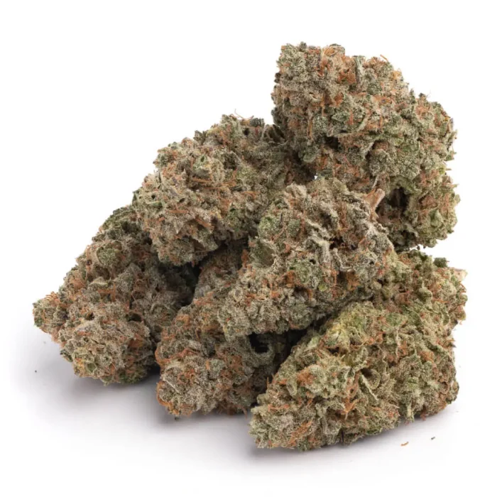 Blueberry - Image 1
