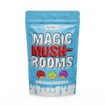 Mazatapec Magic Mushroom – Mungus - Image 2