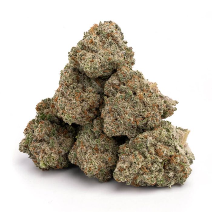 Jack Herer - Image 1