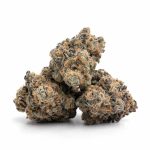 Jellybean - Image 2