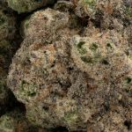 Purple Cream - Image 3