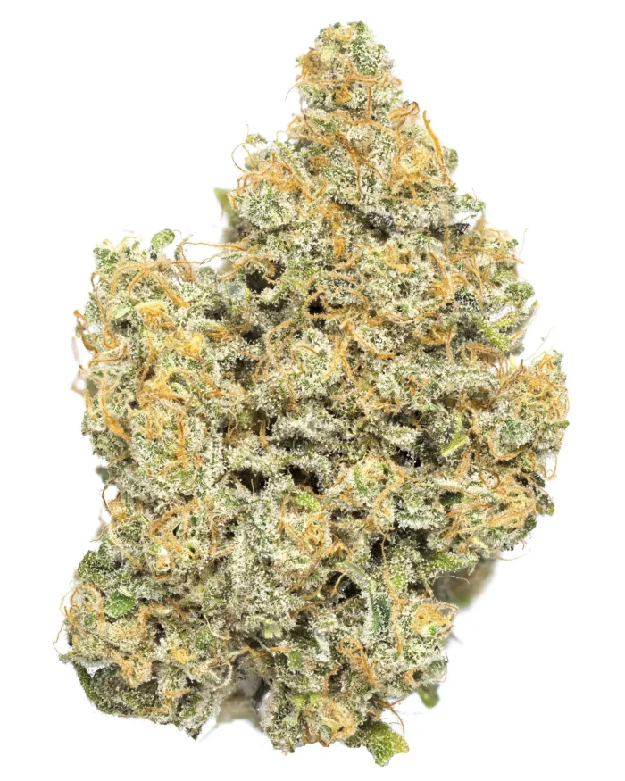 Sour Gummi CBD - Image 1