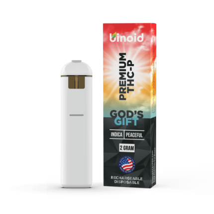 THC-P Rechargeable Disposable – 2 Grams